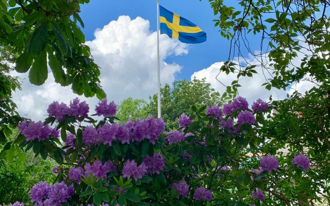 Glad sommar önskar Borås Elhandel!