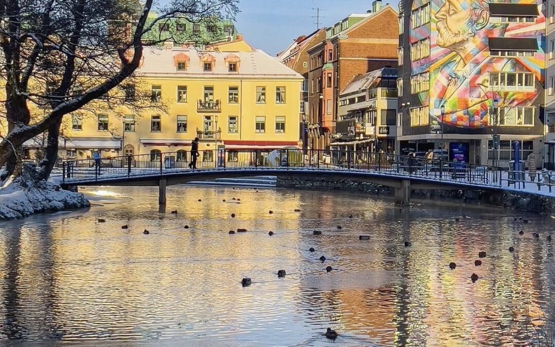 Kylan påverkar den nordiska elmarknaden