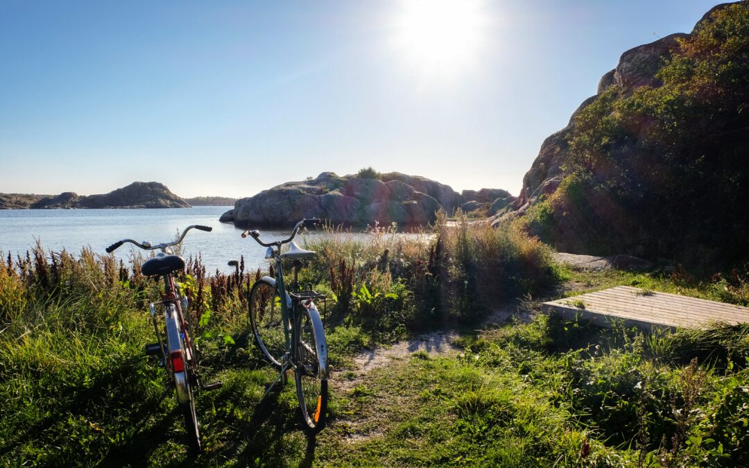 Glad sommar önskar vi på Borås Elhandel